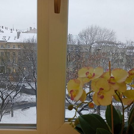 Apartment On Historical Center Of Lviv Kültér fotó